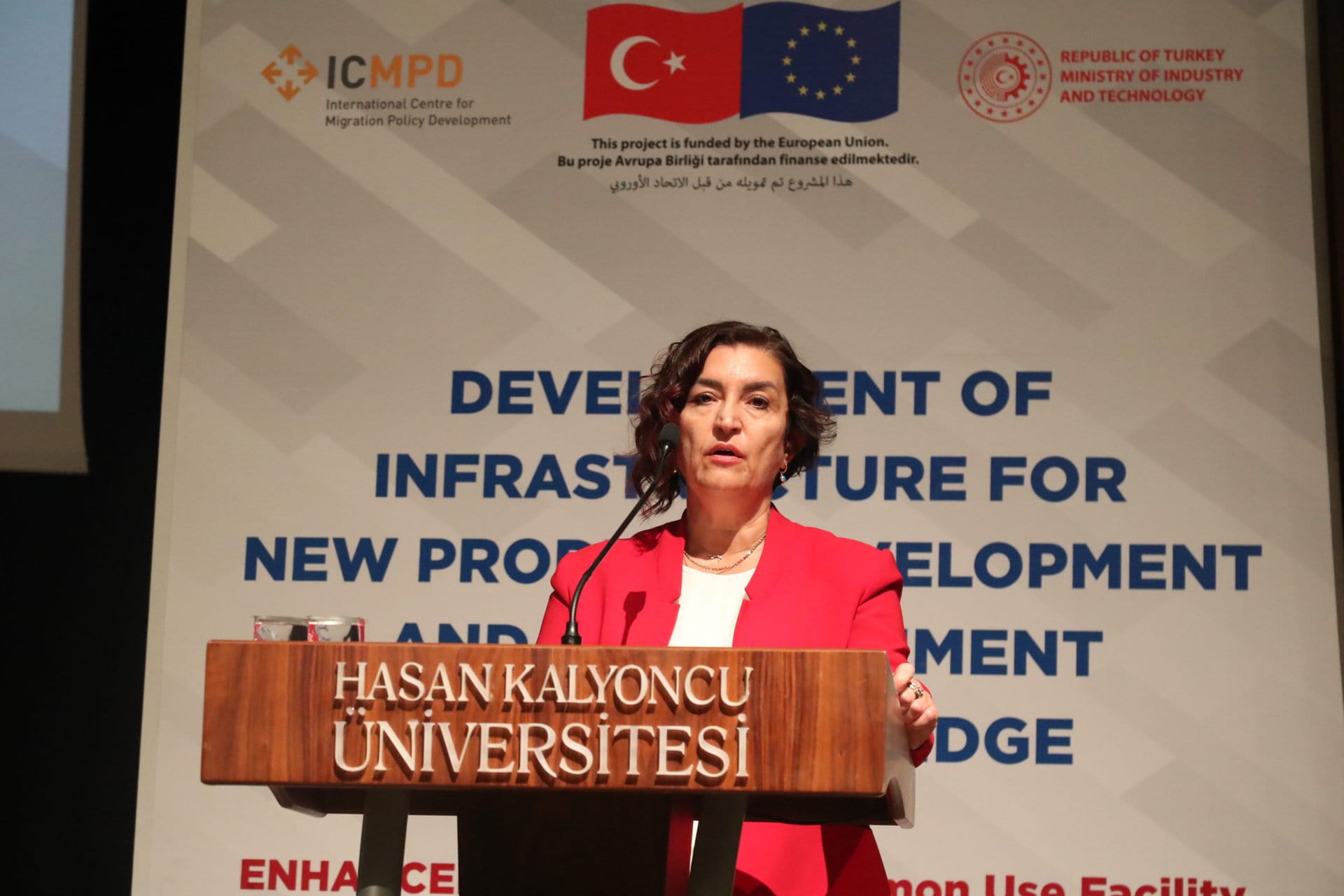 ICMPDEnhancer Projesi Goc ve Kalkinma Portfolyo Yoneticisi Pinar Yapanoglu